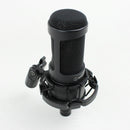 Audio Technica AT2035 Cardioid Condenser Microphone