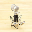Blue Baby Bottle Cardioid Condenser Microphone - BabyBottle