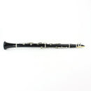 Yamaha YCL200ADII Advantage Student Clarinet