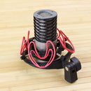 Aston Microphones Origin - Large Diaphragm Cardioid Condenser Mic with Mount