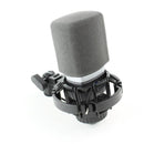 AKG C214 - Professional Condenser Microphone