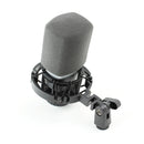 AKG C214 - Professional Condenser Microphone