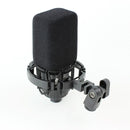 AKG Pro Audio C414 XLS - Instrument Condenser Microphone