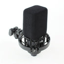 AKG Pro Audio C414 XLS - Instrument Condenser Microphone