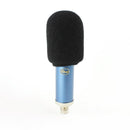 Blue Bluebird SL Microphone Condenser Recording Mic